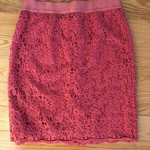 Ann Taylor Lace Pencil Skirt 4P
